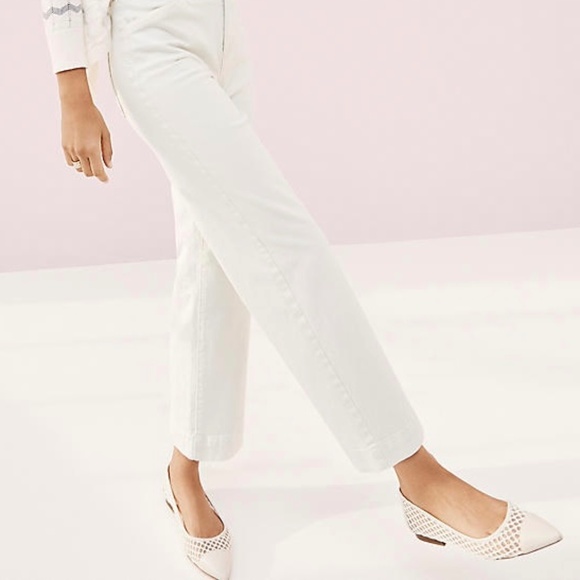 Ann Taylor Shireen Mesh Flats, size 11 - Picture 6 of 6